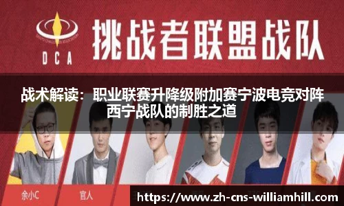 战术解读:职业联赛升降级附加赛宁波电竞对阵西宁战队的制胜之道